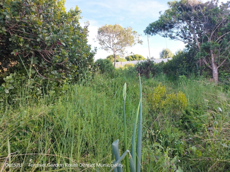 0 Bedroom Property for Sale in Tergniet Western Cape